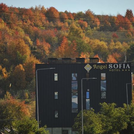 Hotel Angel Sofia Fălticeni Zewnętrze zdjęcie