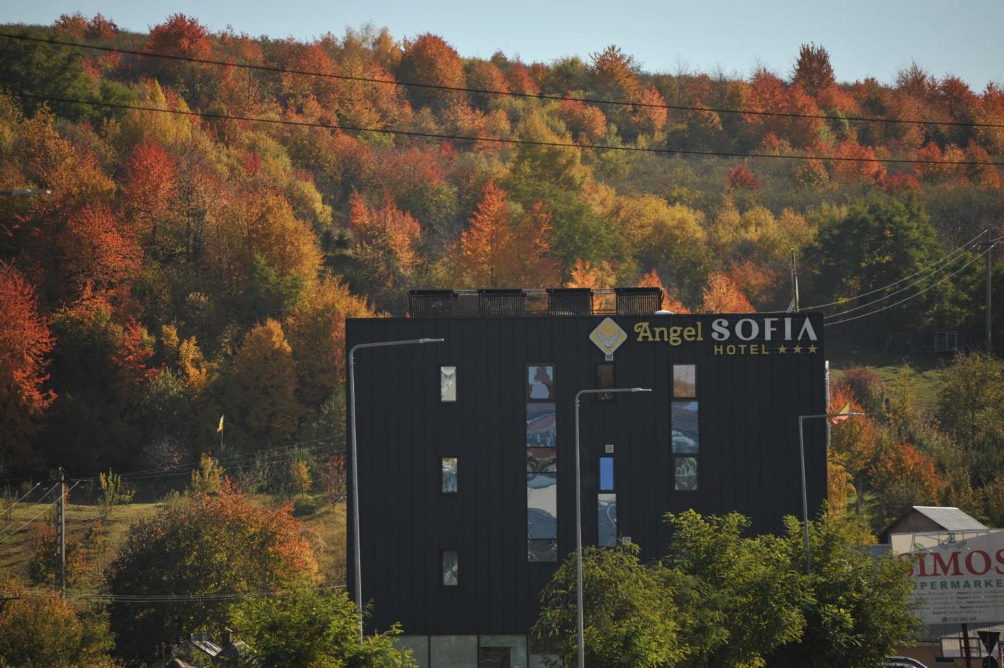 Hotel Angel Sofia Fălticeni Zewnętrze zdjęcie